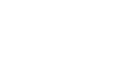 Powerline Micro Electronics LLC